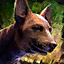 Mini Brindle Basenji.png