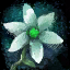 Tiare Flower.png
