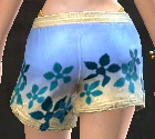 Sunshine Shorts female back.jpg