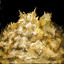 Ball of Cookie Dough.png