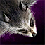 Raccoon Pelt.png