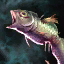 Dead Alewife.png
