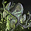 Blooming Druid Stone.png