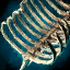Primordial Leviathan Rib Cage.png
