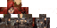 User CrazyRabidSquirrel Eir flat.png