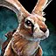 Maguuma Jackrabbit.png