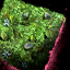 Verdant Wall.png