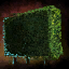 Hedge.png