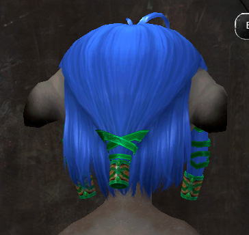 File:Exclusive hair - asura female 7 back.jpg