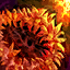 Fire Orchid Garland.png