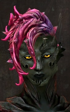 File:Unique sylvari male hair front 11.jpg