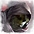 Thief icon.jpg