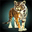 Mini Tiger.png