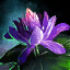Late-Blooming Elon Lily.png