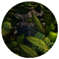 User Kanda Char Vella.jpg