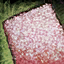 Sheet of Superfine Sandpaper.png