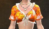 Sunshine Shirt female front.jpg