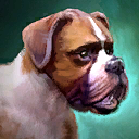 Mini Adventure Boxer.png