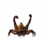 User Nesu SiegyDanceSmall.gif