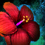 Sunshine Flower Headpiece.png