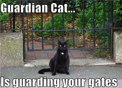 User The Holy Dragons Guardian Cat.png