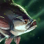 Warmouth.png