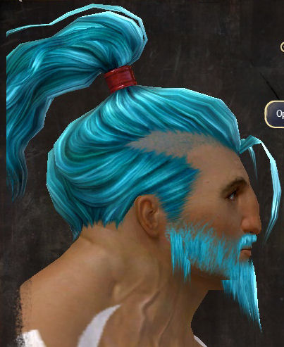 File:Unique norn male hair side 13.jpg