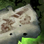 Scarlet Briar's Journal, Fragment.png