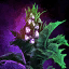 Potted Mature Night Thistle.png
