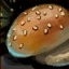 Sesame Seed Bun.png