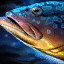 Dusky Grouper.png