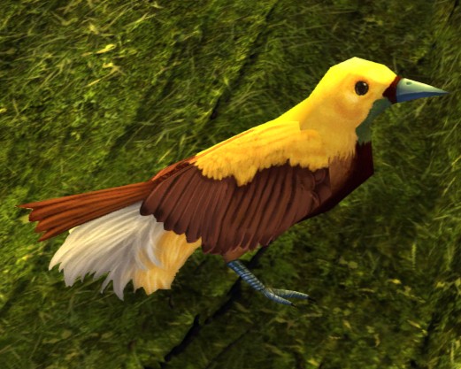 File:Tropical Bird (Bird-of-paradise).jpg
