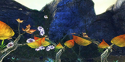 Cymbel's Glen.png