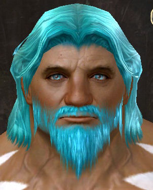 File:Unique norn male hair front 10.jpg