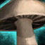 Portobello Mushroom.png