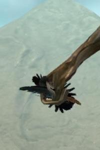 Tuft of Hair.jpg