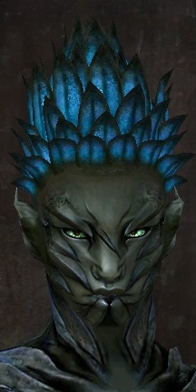 File:Unique sylvari male hair front 18.jpg