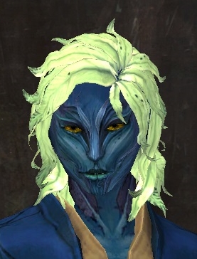 File:Unique sylvari male hair front 1.jpg