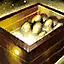 Incubation Box.png
