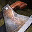 Reclaimed Focus.png