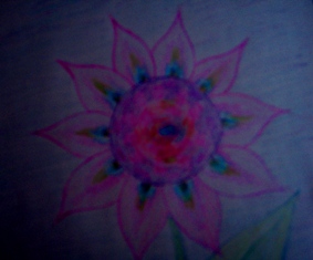 User Cyan Light Amannelle special flower.jpg