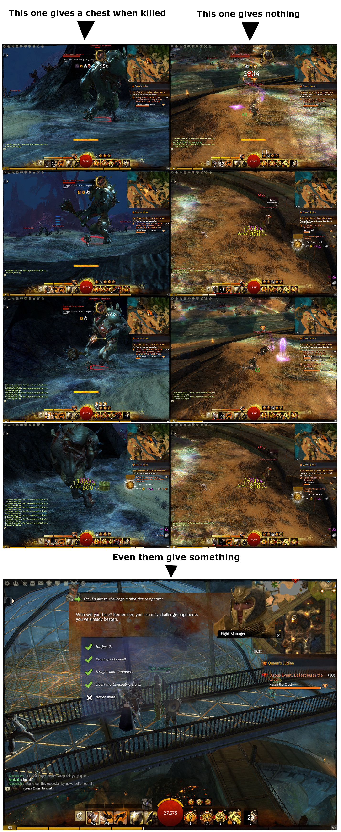 User Serge Yseron champ chest missing.jpg