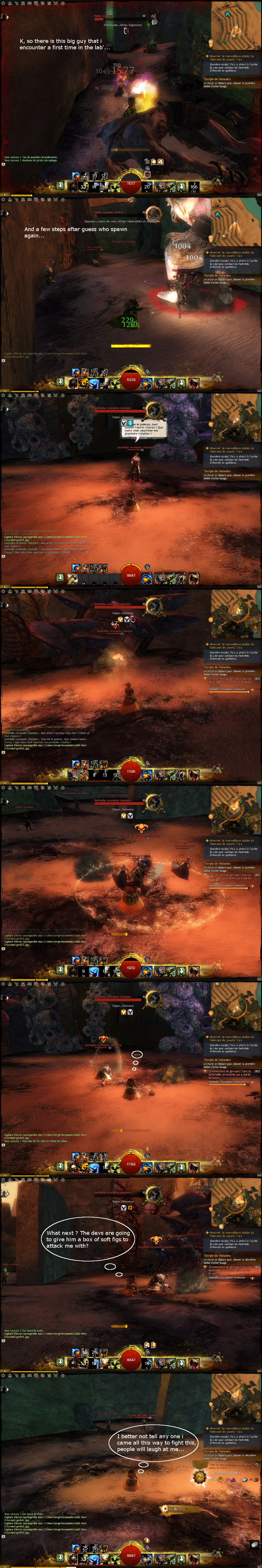 User Serge Yseron useless champs and bosses collection 1.jpg