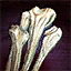 Gift of Bones.png