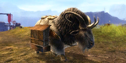 Escort x Dolyaks.png