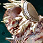 Prank a Risen Giant.png