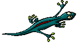User Nick123 Lizard.gif