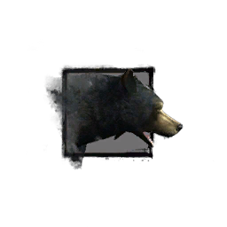 Juvenile Black Bear.png