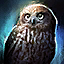 Friend of the Owl Spirit.png