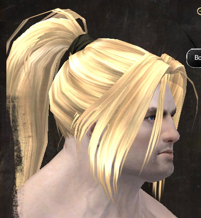File:Unique norn male hair side 3.jpg